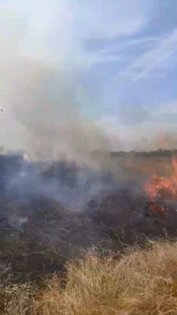Incendiu de vegetație uscată în localitatea Lucieni: pompierii au intervenit de urgență
