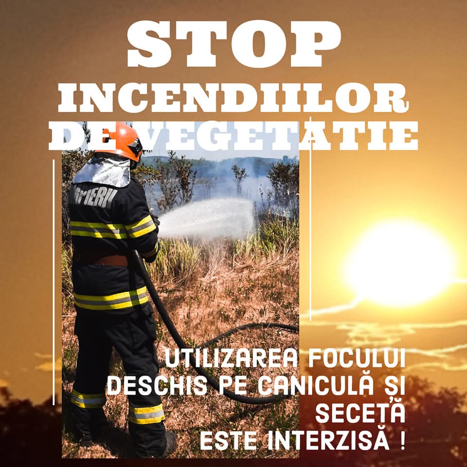 Incendiu de vegetație uscată în comuna Cojasca: Pompierii intervin pentru limitarea extinderii focului