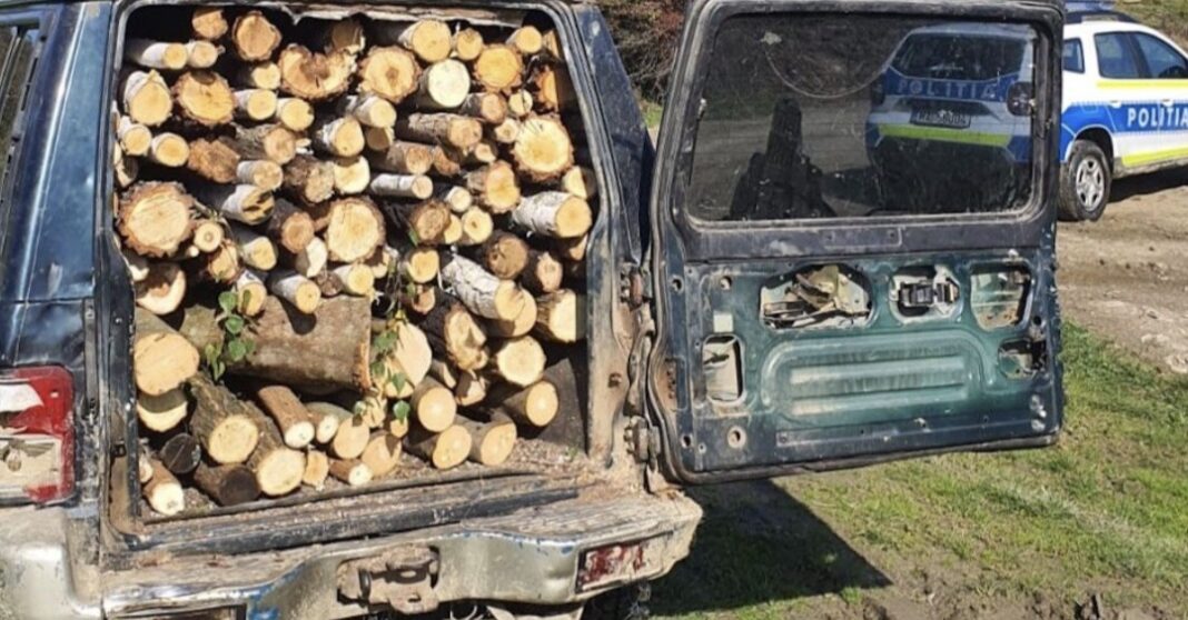 Polițiștii din Dâmbovița au confiscat o autoutilitară și material lemnos pentru transport ilegal