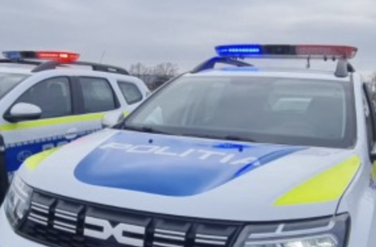 TÂLHĂRIE ÎN JUDEȚUL DÂMBOVIȚA: BĂTRÂNĂ DE 70 DE ANI AGRESATĂ ȘI JEFUITĂ DE UN TÂNĂR DE 20 DE ANI