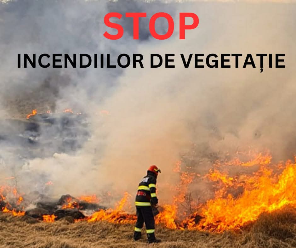 Incendii de vegetație uscată în Dâmbovița, pompierii au intervenit prompt pentru stingere