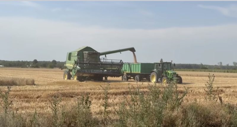 APIA lansează Portalul unic al solicitanților de sprijin în agricultură APIA lansează Portalul unic al solicitanților de sprijin în agricultură