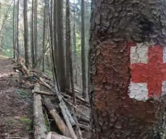 Acțiune amplă pe munte: Salvamont Dâmbovița și voluntarii au remarcat și curățat traseul Podul cu Florile – Cantonul Bratei