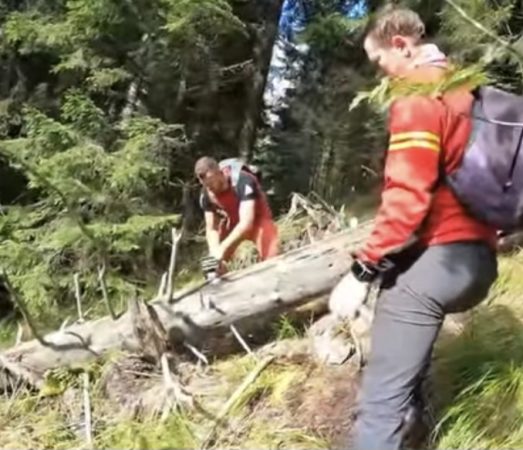Acțiune amplă pe munte: Salvamont Dâmbovița și voluntarii au remarcat și curățat traseul Podul cu Florile – Cantonul Bratei