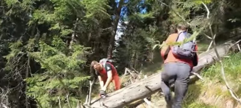Acțiune amplă pe munte: Salvamont Dâmbovița și voluntarii au remarcat și curățat traseul Podul cu Florile – Cantonul Bratei