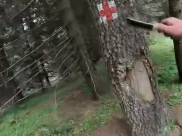 Acțiune amplă pe munte: Salvamont Dâmbovița și voluntarii au remarcat și curățat traseul Podul cu Florile – Cantonul Bratei