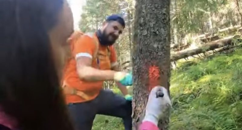 Acțiune amplă pe munte: Salvamont Dâmbovița și voluntarii au remarcat și curățat traseul Podul cu Florile – Cantonul Bratei