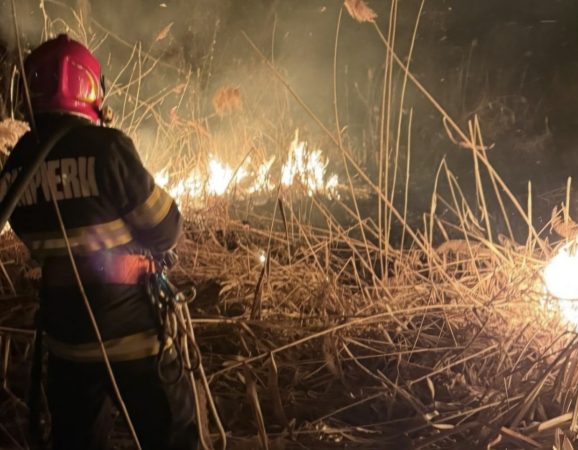 Incendiu de proporții în localitatea Colanu: Peste 12.000 mp de vegetație mistuiți de flăcări Incendiu de proporții în localitatea Colanu: Peste 12.000 mp de vegetație mistuiți de flăcări