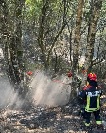 Pompierii români, în prima linie a luptei cu incendiile de pădure din Spania