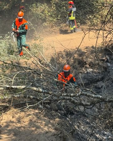 Pompierii români, în prima linie a luptei cu incendiile de pădure din Spania