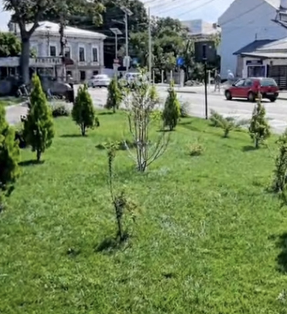 Târgoviștea, orașul verde: Peste 125.000 de flori și mii de arbori și arbuști plantați în 2025