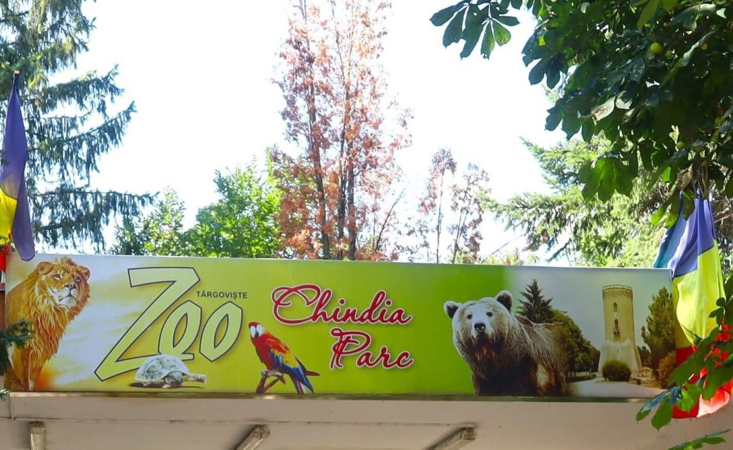 Zoo Târgoviște,destinația perfectă pentru cei mici și cei mari 