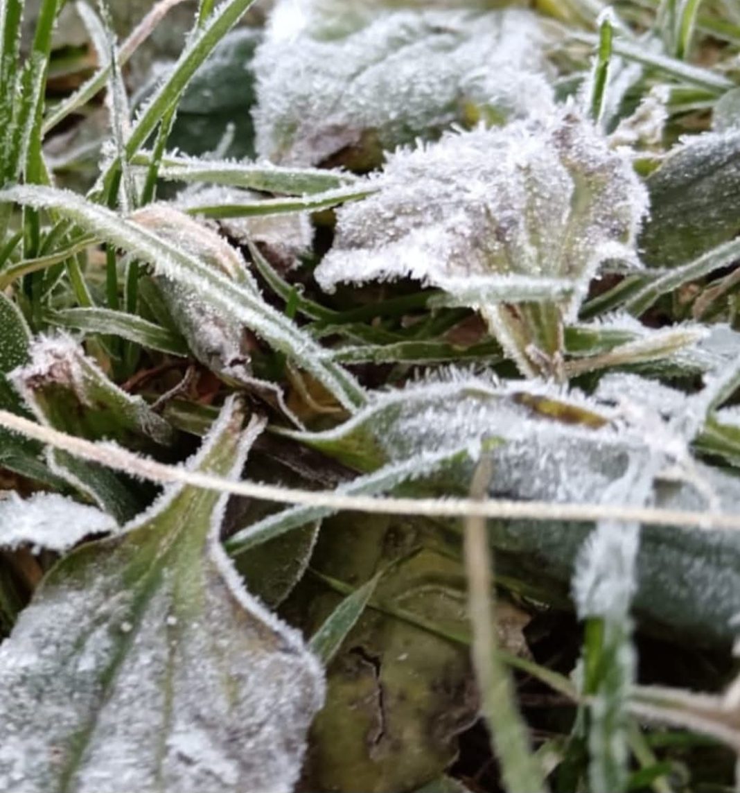 În această dimineață, brumă și îngheț la sol, la final de august, 0°C la Miercurea Ciuc