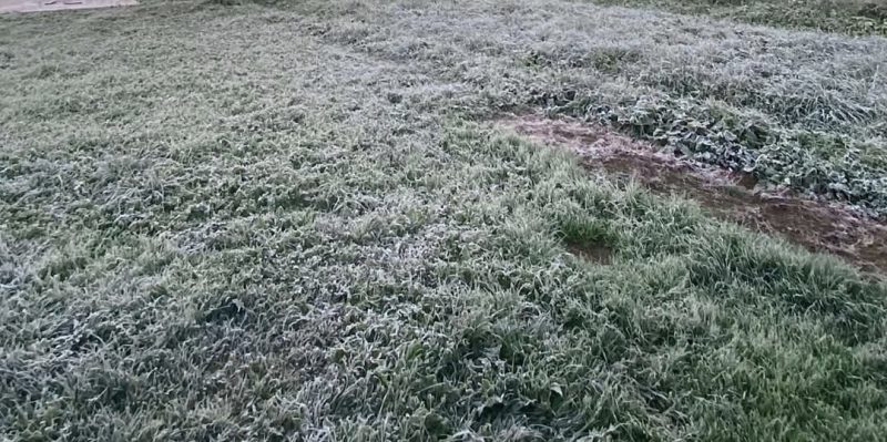 Brumă și îngheț în această dimineață în România: Temperaturi sub 0°C în mai multe zone