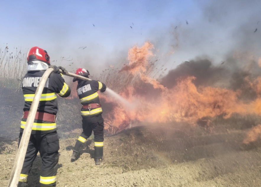 Incendiu de vegetație uscată la Bucșani: Pompierii acționează pentru lichidare 