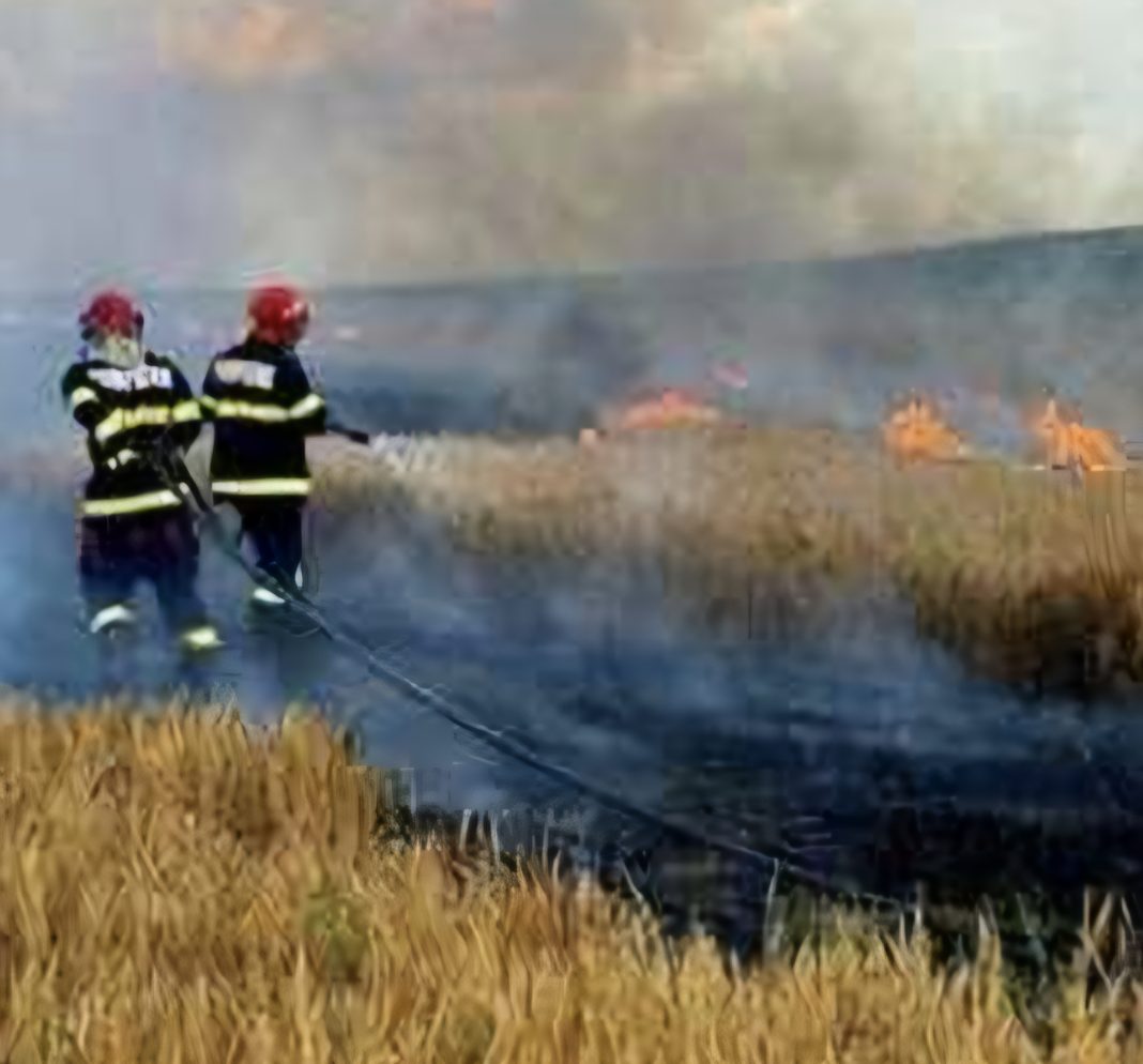 Incendiu de vegetație uscată în localitatea Gura Șuții,  pompierii au intervenit