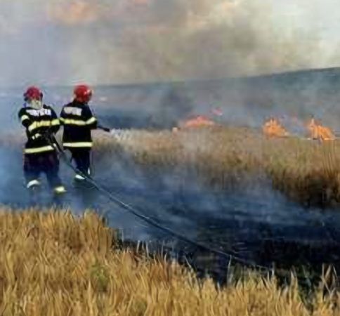 Incendiu de vegetație uscată în localitatea Gura Șuții, pompierii au intervenit Incendiu de vegetație uscată în localitatea Gura Șuții, pompierii au intervenit