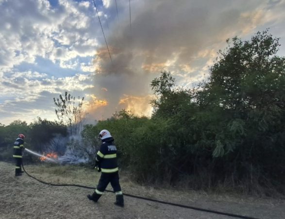 Intervenție rapidă a pompierilor la un incendiu de vegetație uscată în Scheiu de Sus Intervenție rapidă a pompierilor la un incendiu de vegetație uscată în Scheiu de Sus