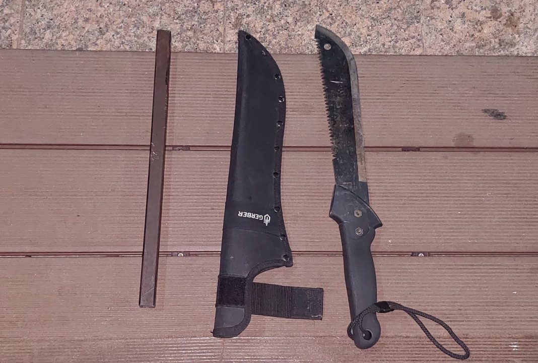 Tânăr prins cu o macetă pe străzile din Târgoviște de jandarmii dâmbovițeni 