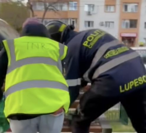 Peste 30 de animale salvate după deflagrația din Rahova: Polițiștii și-au demonstrat empatia și devotamentul