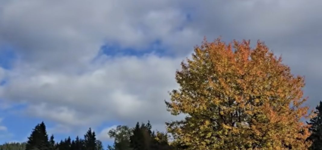 Prognoza meteo pentru următoarele zile, temperaturile la pragul de îngheț 