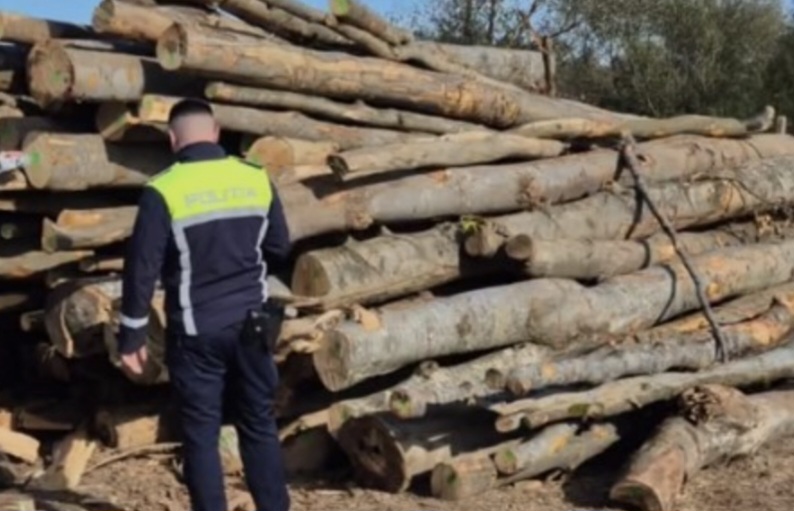 Razie a polițiștilor dâmbovițeni pentru protecția fondului forestier și piscicol