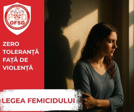 S-a depus proiectul de lege pentru prevenirea și combaterea femicidului în România S-a depus proiectul de lege pentru prevenirea și combaterea femicidului în România