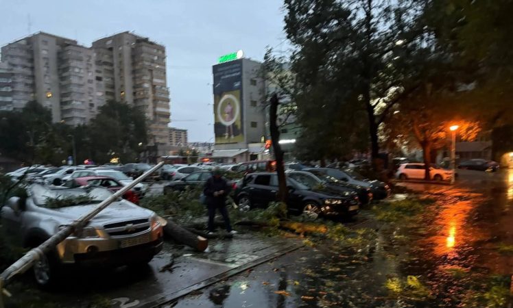 Vijelie în București: peste 80 de copaci doborâți și 23 de mașini avariate Vijelie în București: peste 80 de copaci doborâți și 23 de mașini avariate