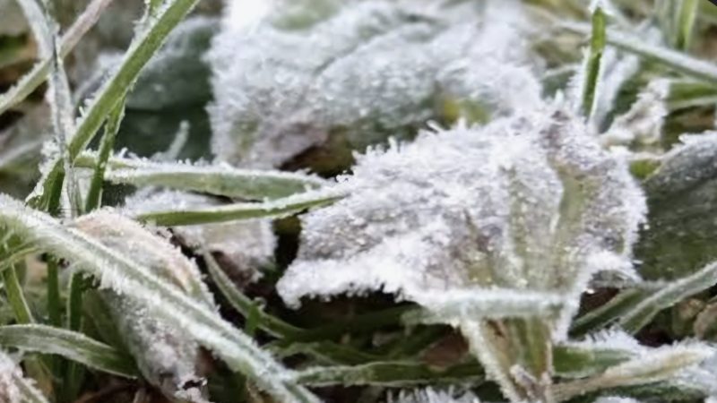 Vremea joi, 16 octombrie 2025: temperaturi scăzute, brumă și ceață Vremea joi, 16 octombrie 2025: temperaturi scăzute, brumă și ceață