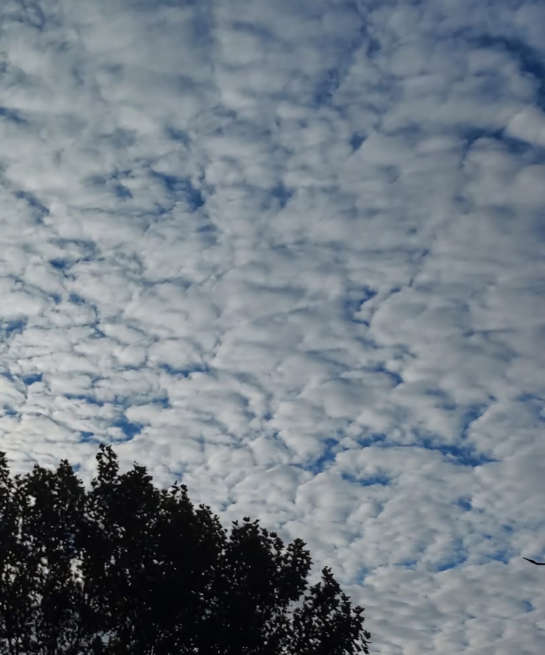 Vremea astăzi în județul Dâmbovița: Alternanțe între soare, ploi slabe și  cod galben de vânt 