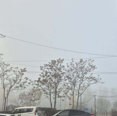 Ceață și temperaturi scăzute în județul Dâmbovița Ceață și temperaturi scăzute în județul Dâmbovița