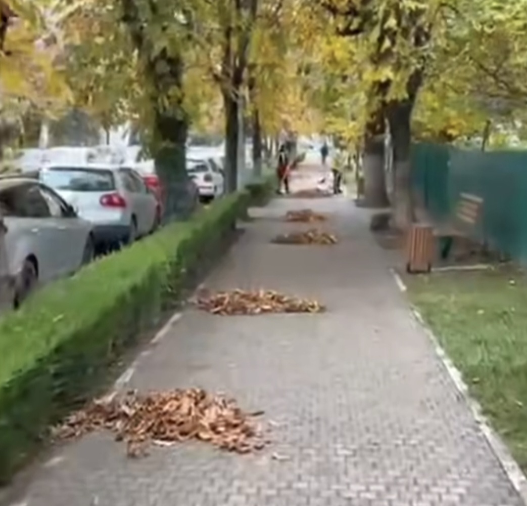 Direcția de Salubritate Târgoviște, la datorie: Frunzele de toamnă strânse din parcuri și de pe bulevarde