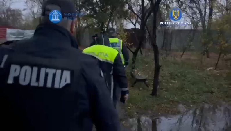 Polițiștii din Dâmbovița și Ilfov desfășoară 41 de percheziții în mai multe dosare penale