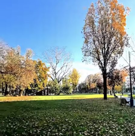 Primăria Târgoviște menține curățenia și spațiile verzi, chiar și în plină toamnă