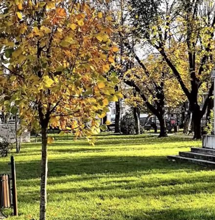 Primăria Târgoviște menține curățenia și spațiile verzi, chiar și în plină toamnă