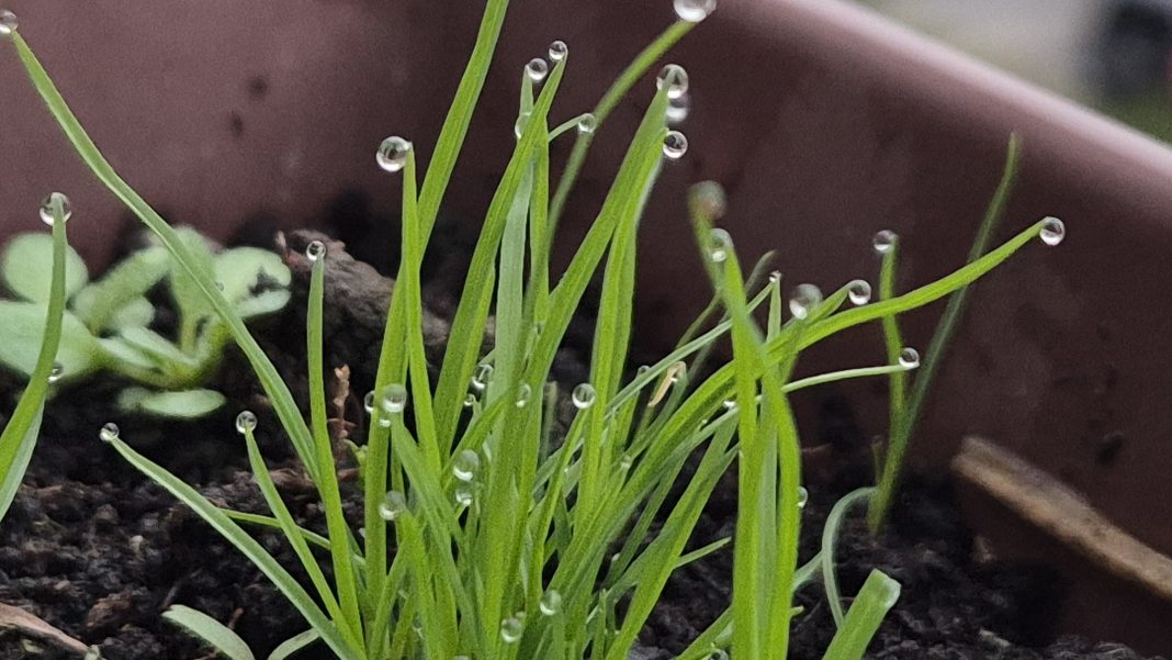 Vreme schimbătoare astăzi în județul Dâmbovița: Averse slabe și temperaturi în scădere spre seară