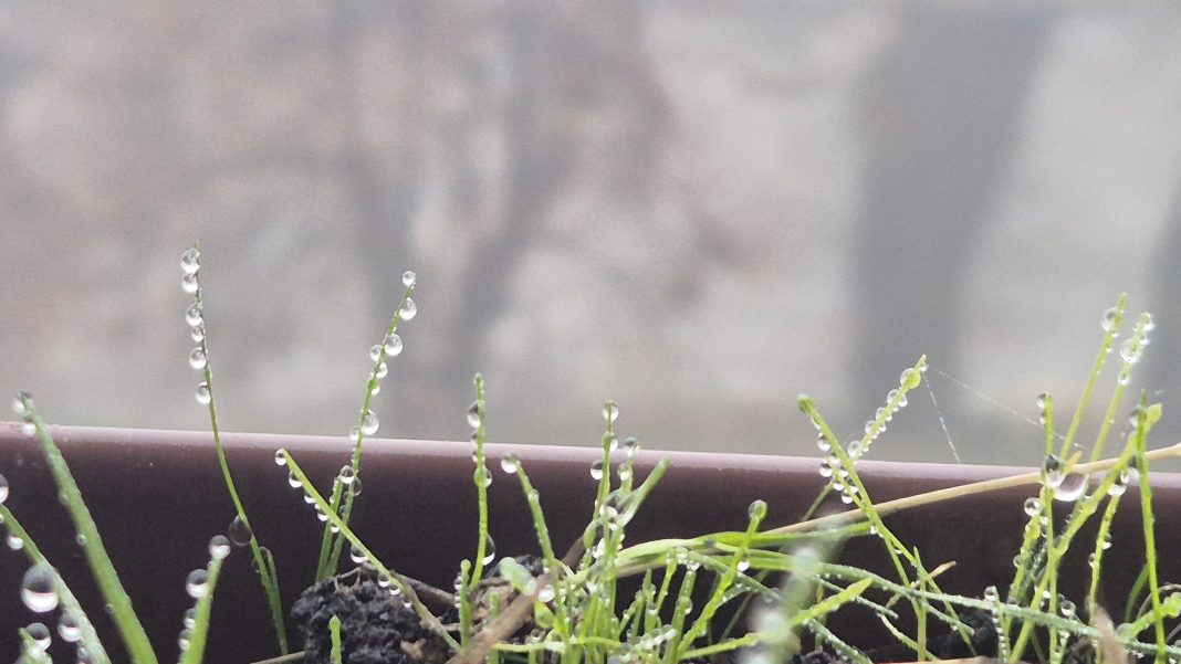 Vreme schimbătoare, ploi și vânt puternic în Dâmbovița și în sud-estul României începând cu 20 noiembrie