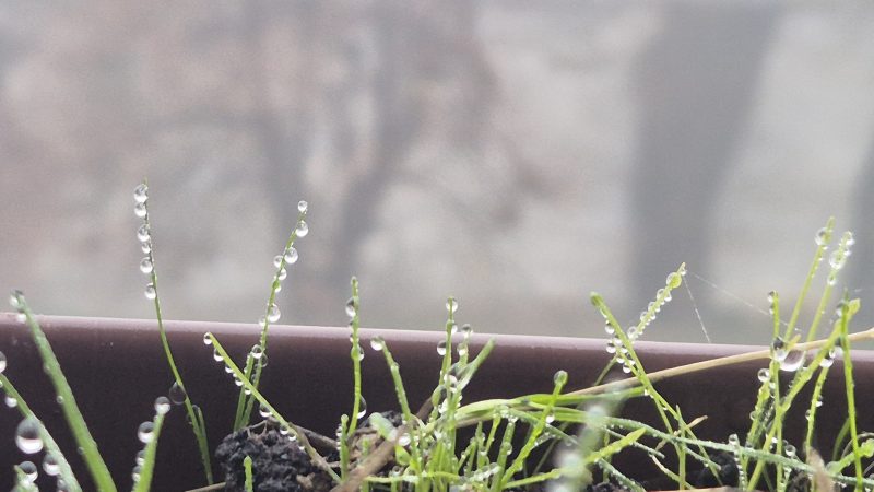 ALERTĂ METEO: Vreme schimbătoare, ploi și vânt puternic în Dâmbovița și în sud-estul României începând cu 20 noiembrie Vreme schimbătoare, ploi și vânt puternic în Dâmbovița și în sud-estul României începând cu 20 noiembrie