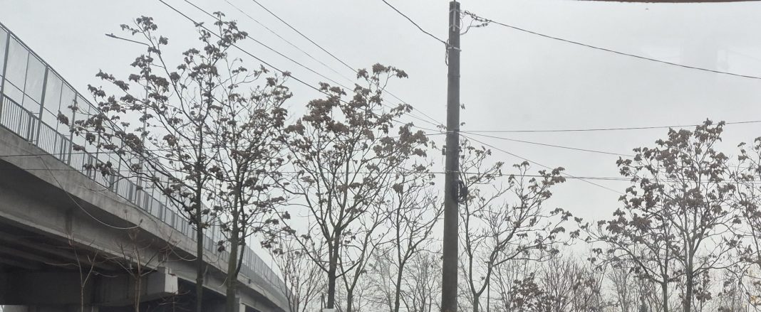 Vreme severă în județul Dâmbovița