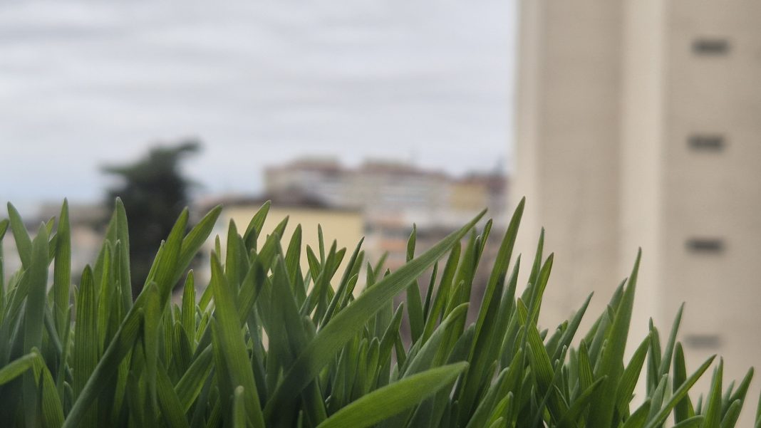 ATENȚIE – JUDEȚUL DÂMBOVIȚA, NU  porniți la drum dacă nu este o urgență: COD GALBEN DE VÂNT PUTERNIC, POLEI ȘI GER TAIOS 