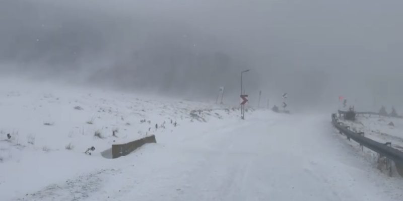 Avertisment pentru turiști: Recomandările jandarmilor montani dâmbovițeni pentru deplasările în Bucegi. VIDEO Avertisment pentru turiști: Recomandările jandarmilor montani dâmbovițeni pentru deplasările în Bucegi. VIDEO