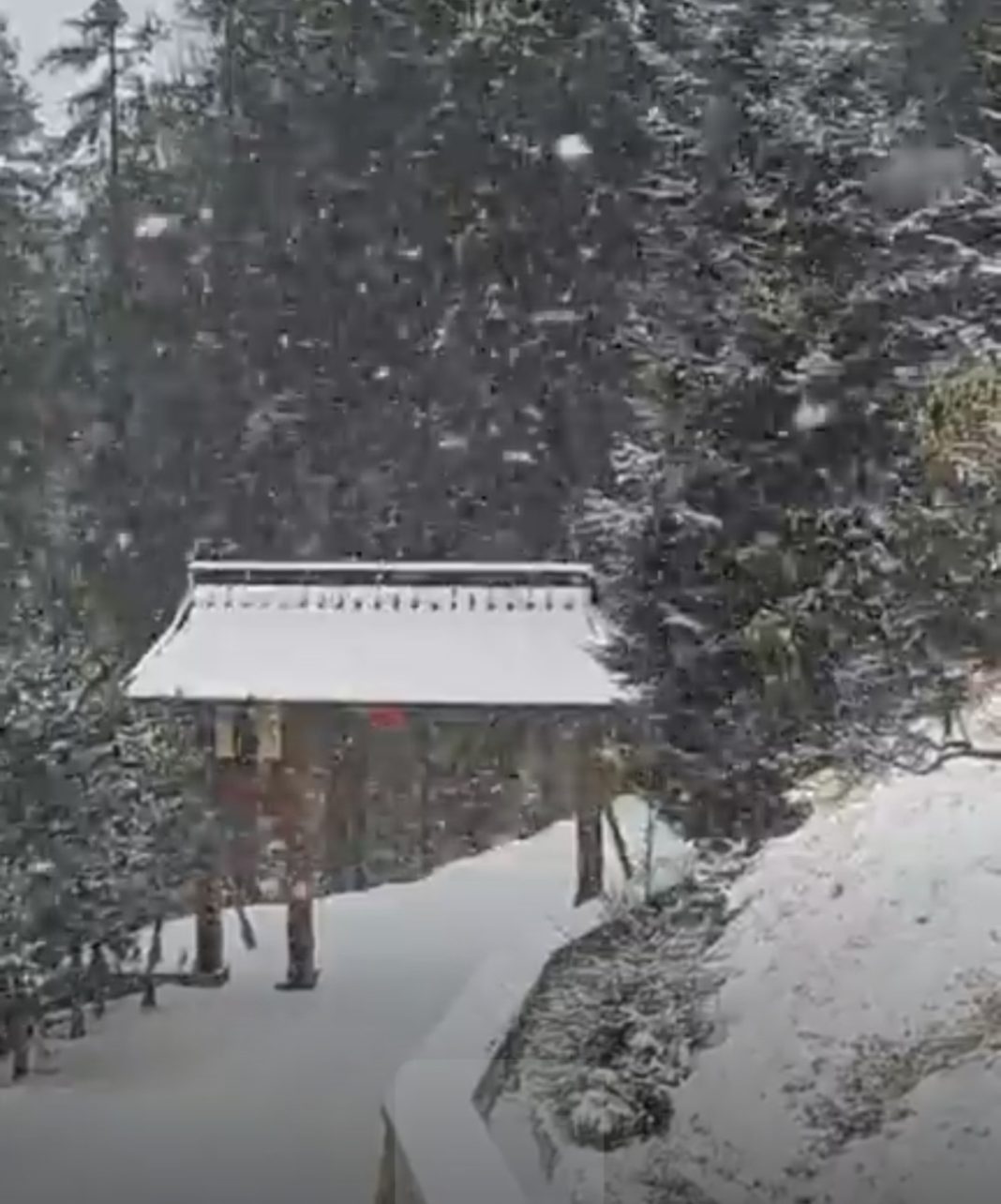 Iarna magică a sosit în Bucovina,  ninsoare ca în povești