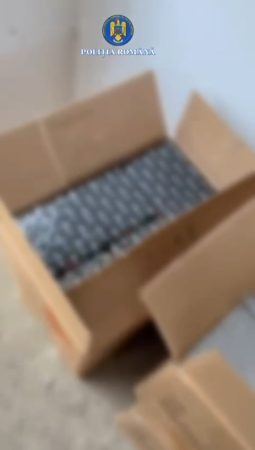 PESTE O TONĂ JUMĂTATE DE ARTICOLE PIROTEHNICE INDISPONIBILIZATE DE POLIȚIȘTI