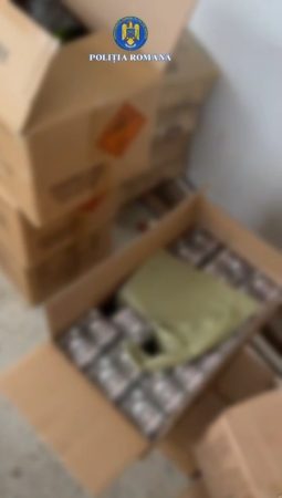 PESTE O TONĂ JUMĂTATE DE ARTICOLE PIROTEHNICE INDISPONIBILIZATE DE POLIȚIȘTI