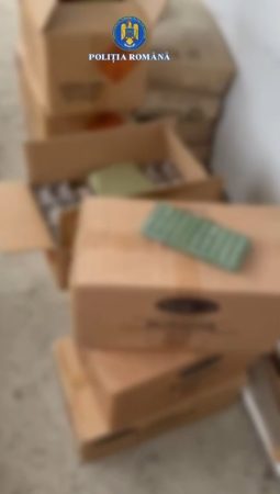 PESTE O TONĂ JUMĂTATE DE ARTICOLE PIROTEHNICE INDISPONIBILIZATE DE POLIȚIȘTI