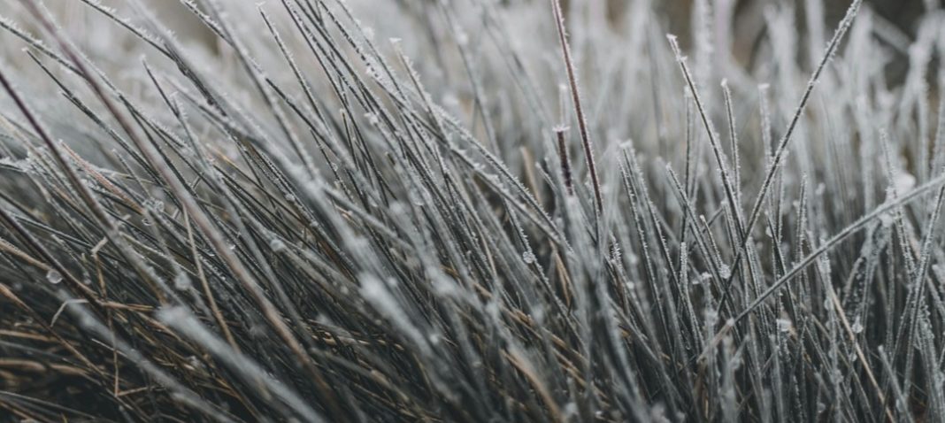 Prognoza meteo pentru astăzi, 15 decembrie 2025 – județul Dâmbovița