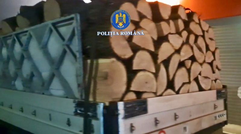 Transport ilegal de lemne oprit de polițiști în comuna Mănești Transport ilegal de lemne oprit de polițiști în comuna Mănești