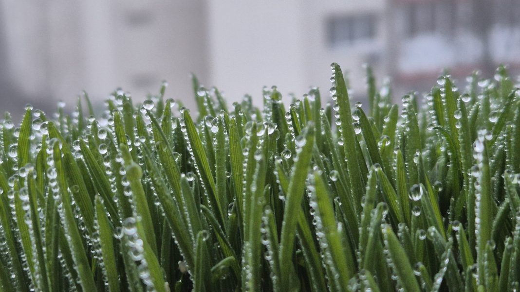 VREMEA AZI în Dâmbovița, cu ceață și burniță