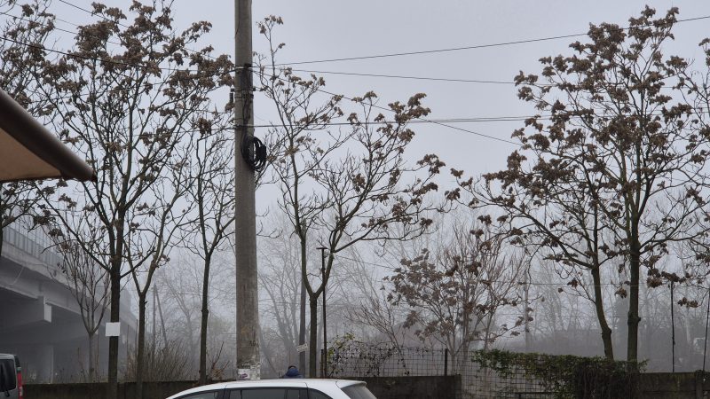Vreme rece și ceață în județul Dâmbovița Vreme rece și ceață în județul Dâmbovița
