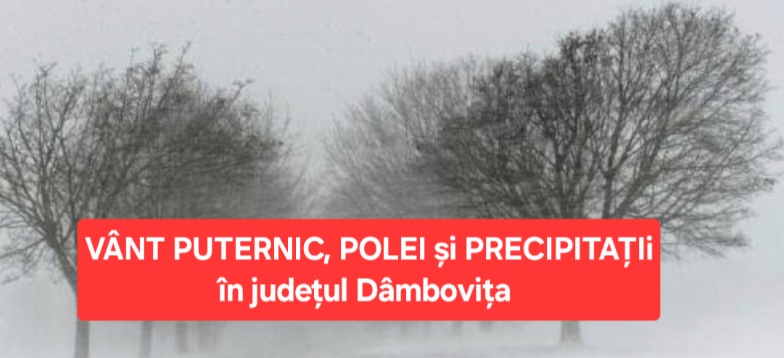 Vreme severă în Dâmbovița: De astăzi, începând cu ora 10:00, rafale puternice, precipitații și polei până la finalul lunii decembrie